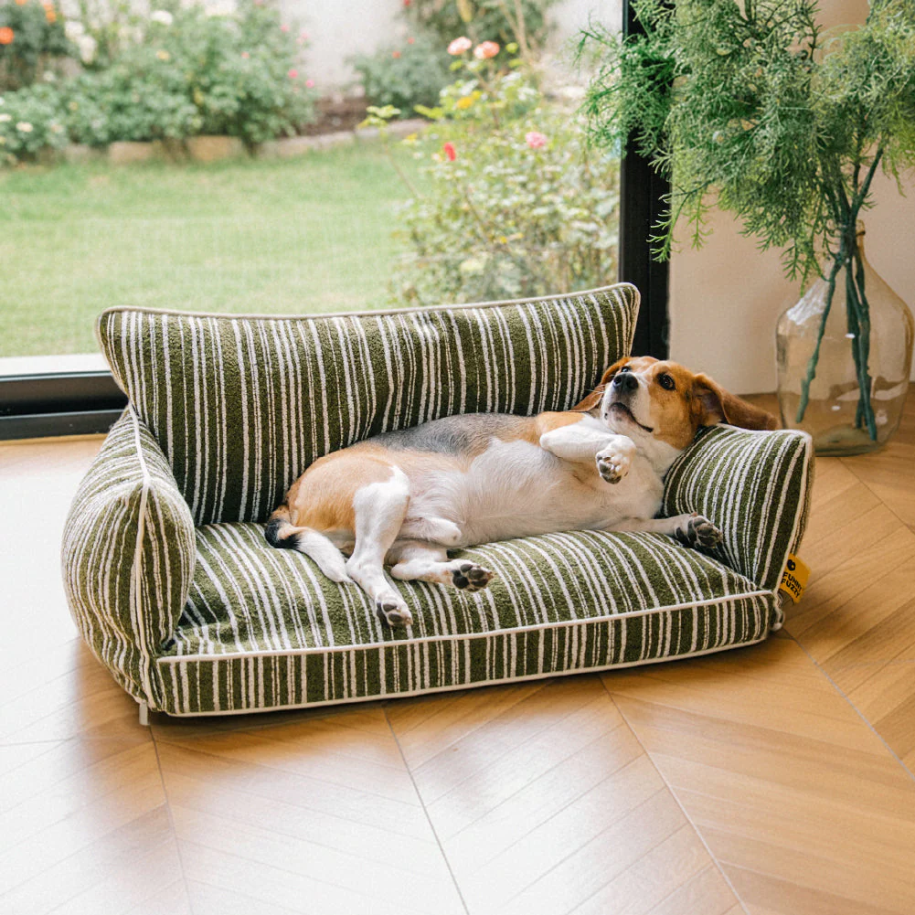New Launch - Dog Beds
